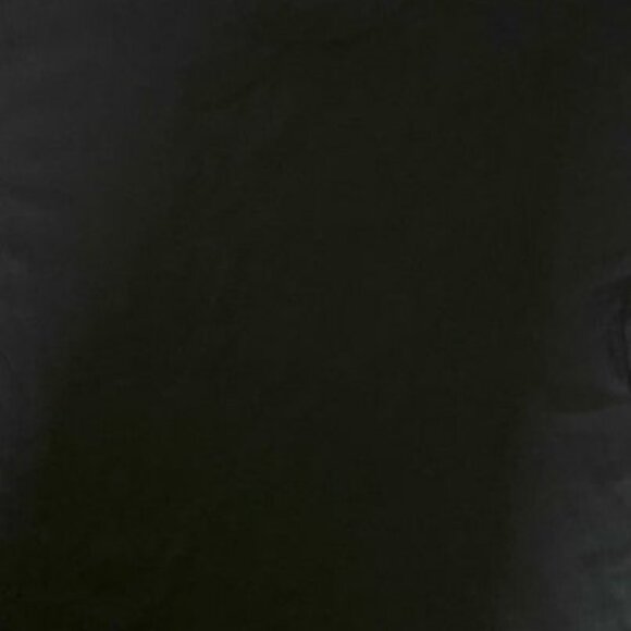 "Have You Heard ..." Adult Black NOS Large T-Shirt - Picture 4 of 5